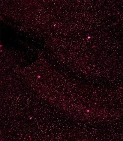 Pink Gellac - Dramatic Red - Gellak - Vegan - Rood - Shimmer Finish - 15 Ml -Cosmetic Verkoop 1050x1200 38