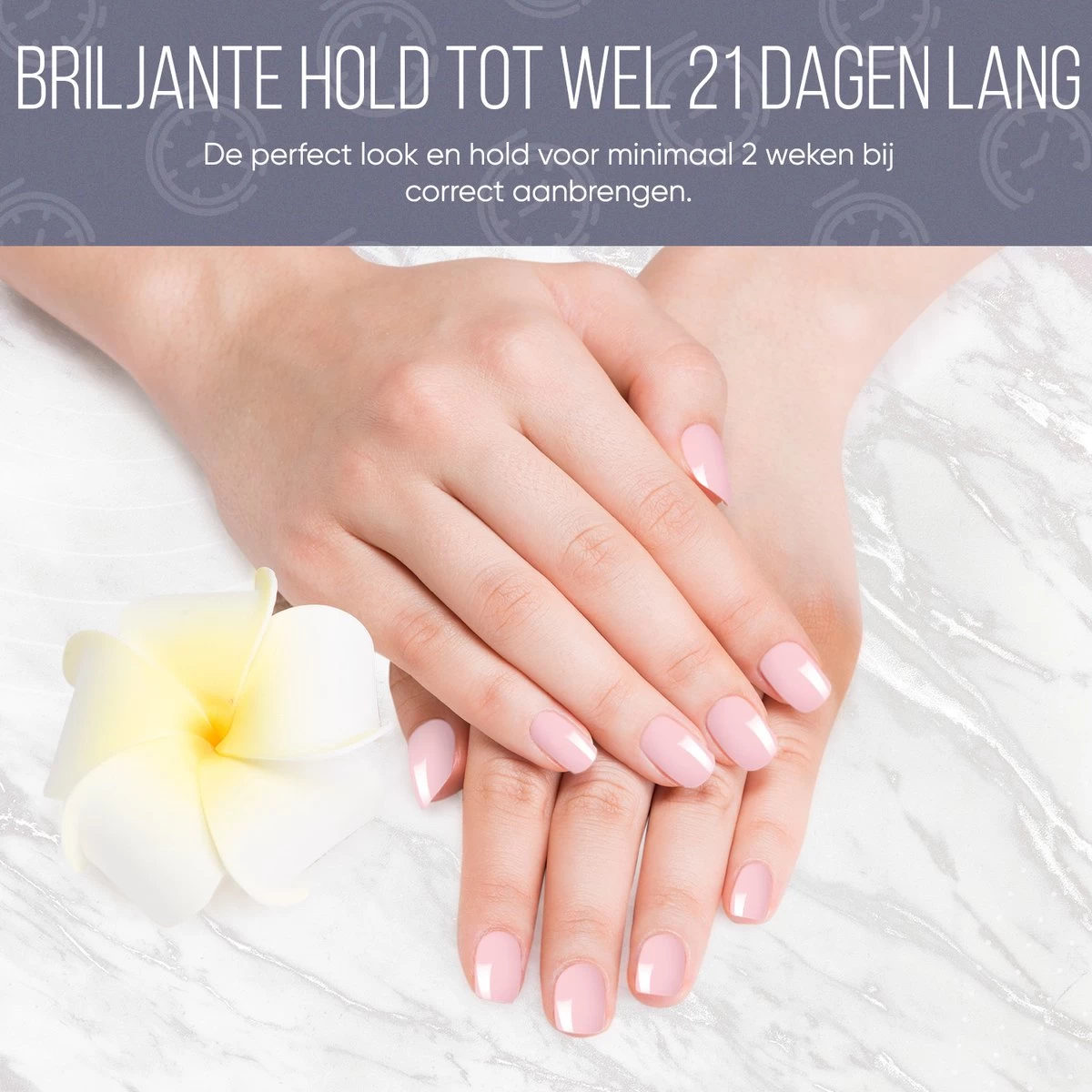 Gellak Starterspakket - Gellak - Gel Nagellak - Gellak Set - 6x8ML Kleuren - Nude Edition - Gellac - Nude Kleuren 5 Gellak Starterspakket - Gellak - Gel Nagellak - Gellak Set - 6x8ML Kleuren - Nude Edition - Gellac - Nude Kleuren - Afbeelding 3