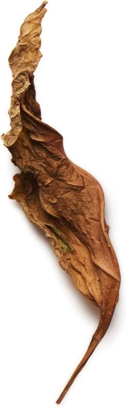 Giorgio Armani Acqua Di Gio Absolu 75ml - Eau De Parfum - Herenparfum -Cosmetic Verkoop 372x1200